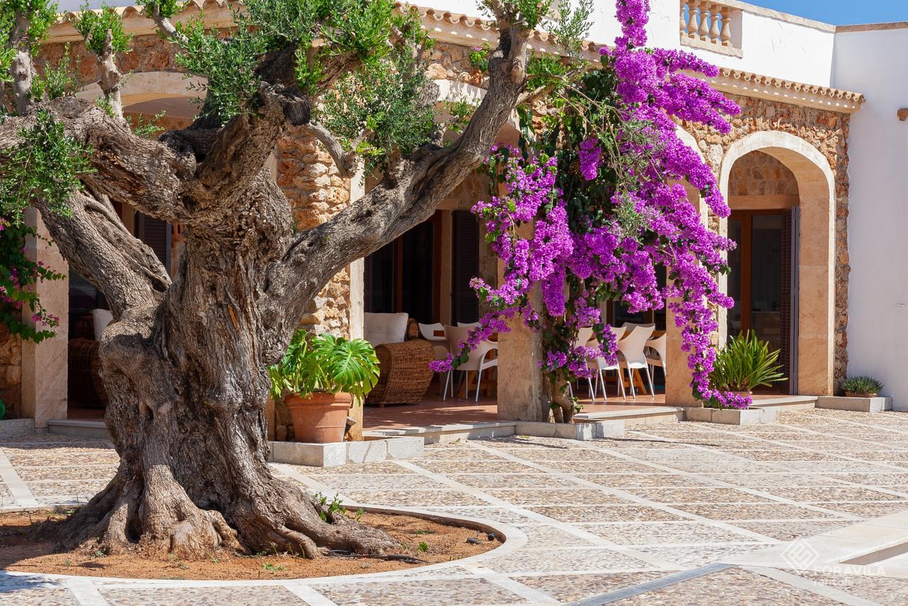 Villa Turquesa Santa Margalida Eksteriør billede